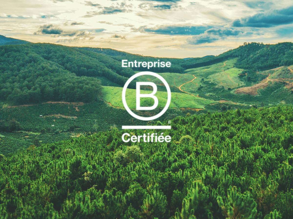 Créé en 2006, le Label B-Corp certifie des entreprises avec un impact sociétal et environnemental positif. Créé en 2006, le Label B-Corp certifie des entreprises avec un impact sociétal et environnemental positif.