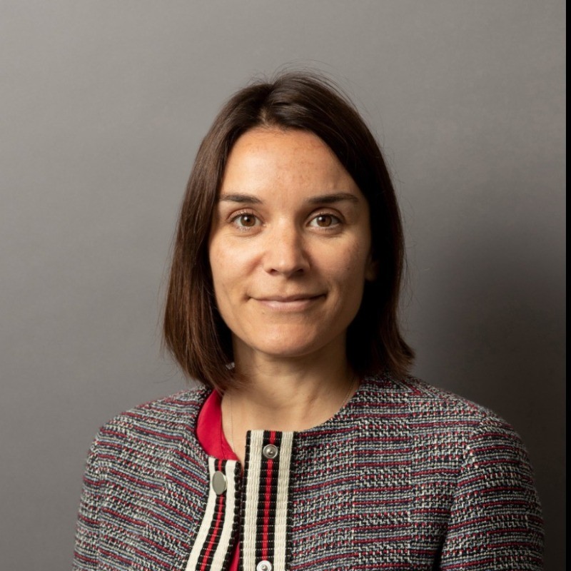 Corinne Philipps, Caisse de dépôt et placement du Québec