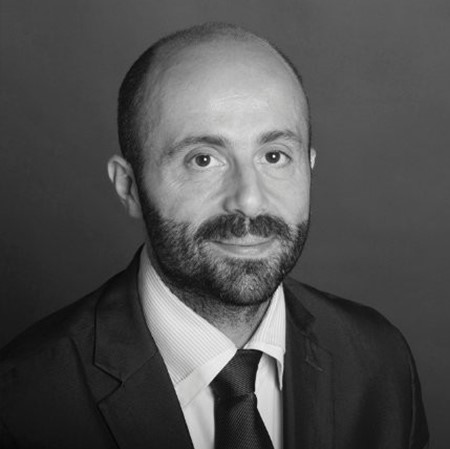 Christophe Perrin, Monte Cristo Consulting