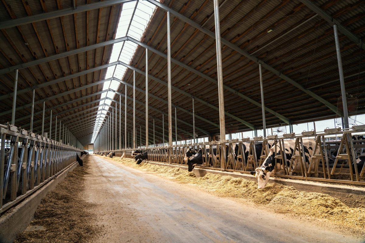 © Adobe Stock © Adobe Stock