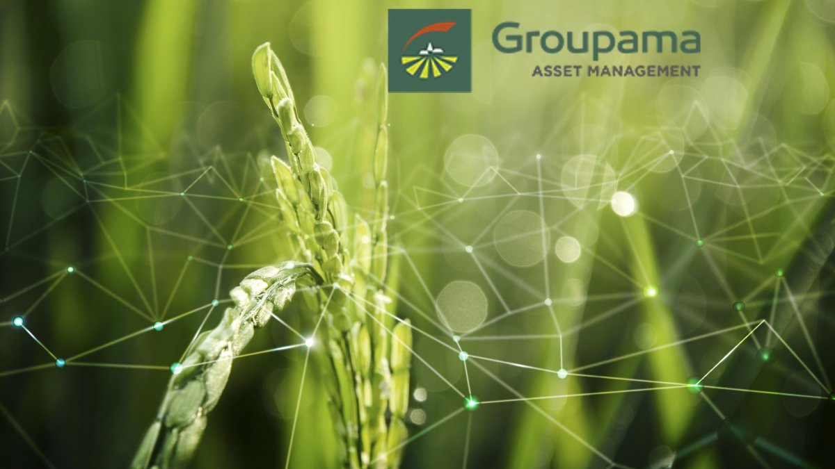 © Groupama Asset Management - © Freepik © Groupama Asset Management - © Freepik