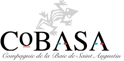 Cobasa
