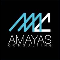 LBO AMAYAS CONSULTING mardi 22 avril 2025