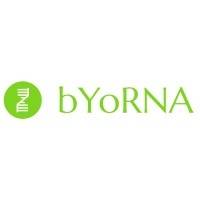 Capital Innovation BYORNA mardi 8 juillet 2025 Capital Innovation BYORNA mardi 8 juillet 2025