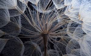 © Mnemo Therapeutics © Mnemo Therapeutics