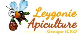 Build-up LEYGONIE APICULTURE vendredi 1 janvier 2021 Build-up LEYGONIE APICULTURE vendredi 1 janvier 2021