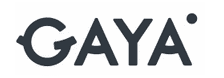 Capital Innovation GAYA mercredi 13 mars 2024 Capital Innovation GAYA mercredi 13 mars 2024